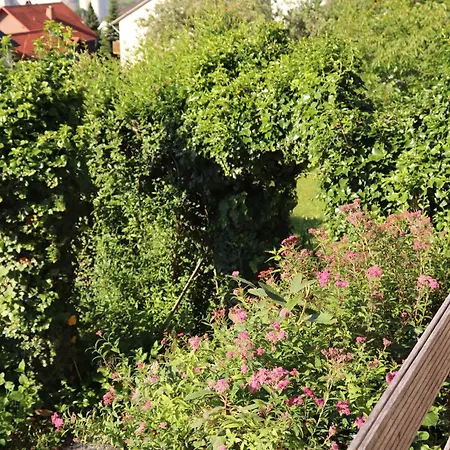 Holiday home Villa-fuldablick Morschen