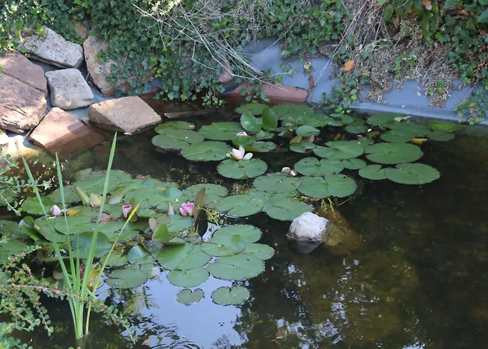 Holiday home Villa-fuldablick Morschen